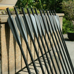 12Pcs 20″ Crossbow Bolts Carbon Arrows Half Moon Nocks 8.8mm Shaft OR Broadhead