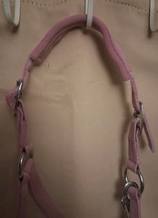 Pink Bling, Padded Nylon Halter, PONY