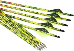 12PCS Camo Carbon Arrows for Hunting Practice