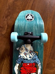 Welcome Skateboards Teddy Nora Vasconcellos Teal Factory Assembled