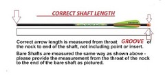Traditional Carbon Arrows- w/ 4″ Feathers (Random Colors) GOLD TIP