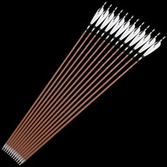 12X 31″ Pure Carbon Arrows SP340 400 500 600 Natural Feather Archery Bow Hunting