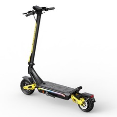 2 in 1 800W Foldable Snow Scooters Two Wheel Sled for Ski Resorts E-Scooter