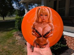 New Custom Streamline Neutron ENGINE 175gm Distancce Driver PDGA Approved
