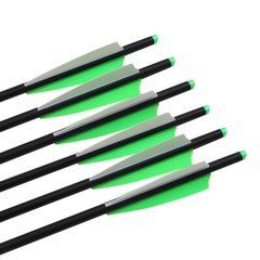 12PCS 20» Carbon Crossbow Bolts Crossbow Arrows 100 Grain Broadheads Hunting