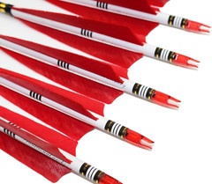 TTFLY FLETCHING 12PCS Red Turkey Feather 31 Inches Carbon Arrows Tips Targeting