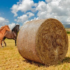 Round Bale Hay Net for Horses,5×5 Feet Knotless Slow Feed Hay Net Feeder for …
