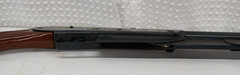 VTG DAISY MODEL 25 WARDS HAWTHORNE MALLARD DUCK STAMP EDITION BB GUN RIFLE