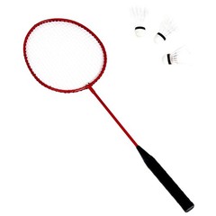 Amazon Basics Portable Outdoor Volleyball and Badminton Combo Set with…
