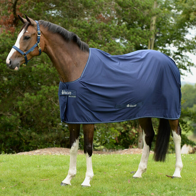 Bucas Show Shamrock Power Stay Dry Fabric In Breathable Technical Fabric