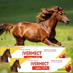 10 Pack New Paste Wormer Horse Dewormer Apple Flavor US Free Shipping