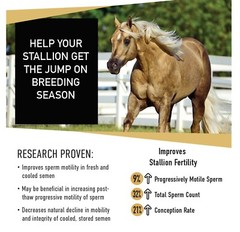 EQUINE SPERM BOOSTER – FERTILITY (120 Capsules – Made in USA)