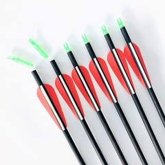 12Pcs 28″/30″ Carbon Archery Arrows Shaft Spine 500 with Removable Tips Target