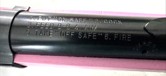 Pink Daisy BB Gun #1998 Air Gun – Tested – In Great shape- Wood Stock
