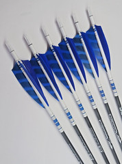 Goldtip warriors arrows for Traditional archery