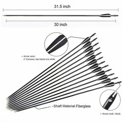 12Pcs 30“ Fiberglass Arrows Spine 500 OD 8mm Archery Plastic Feather F Shooting