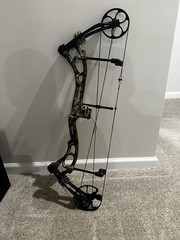 Mint Bear Authority Bow With New Vapor Trail Strings