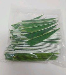 100 Pack Gateway Feathers 4″ Right Wing: Shield Barred Chartreuse 400RSBCH