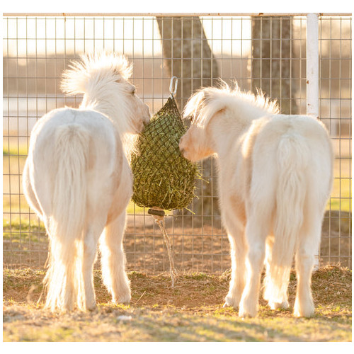 HB114-Oat 1 1/4 inch Half Bale Net