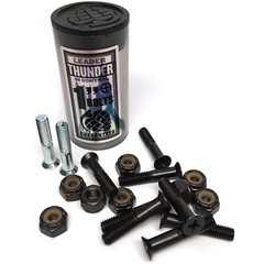 Independent Skateboard Trucks 169 Silver Stage 11 with Thunder Hardware