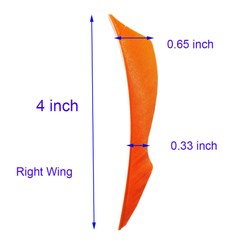 50X Natural Turkey Feathers 4 » Fletches Archery Target Shooting Arrow Shaft DIY