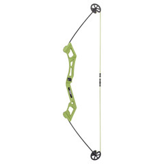 Bear Archery Valiant Youth Bow Set with Arrows & Target