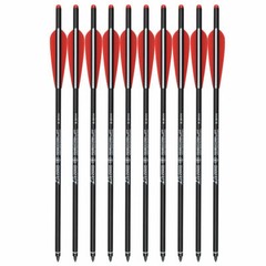 12PCS 22» Crossbow Bolts Carbon Arrows +12 Broadheads 100 grain Target Hunting