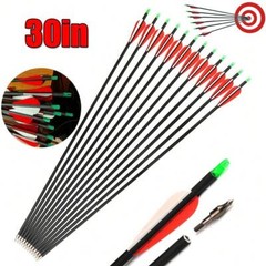 12Pack 30-inch Carbon Arrows SP500 Archery Hunting For Compound&Recurve Bow