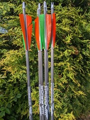Gold Tip Warrior Carbon Arrows. 700, 600, 500, 400, 340, or 340. 6 Pack.