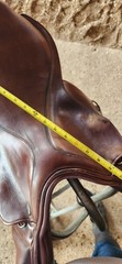 M.Toulouse 19 in seat, wide gullet. Older moder but good condition.