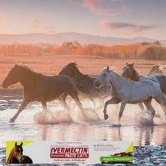 10 Pack Horse Dewormer Paste Apple Flavor EXP 1/2028 Discount Price NEW