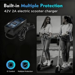 EVAPLUS UL Certified 42V 2A Fast Charger with 5 Type Plugs for 36V Lithium Ba…