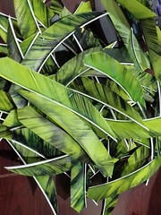 12 Ozark 4 1/2″ Left Wing Target Maxx Feathers Dozen Fletchings, Vanes 4.5 inch