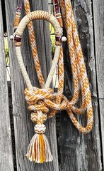 Cowboy Handmade 24 X 48 Plait 5/8″ AMBER ALL- RAWHIDE HACKAMORE By Jimmy Flores
