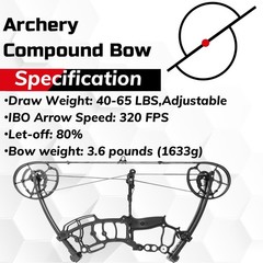 Archery Compound Bow Kit 40-65lbs Adjustable 320fps Adults Hunting Target Shoot