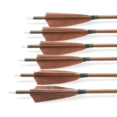 31″ Pure Carbon Arrows Feathers SP340 400 500 600 Compound Recurve Bow Hunting