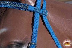 C-A311 Turquoise Horse Bridle Headstall Flat Braided Paracord Crystal Hilason