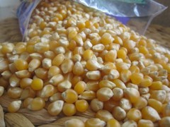 4lbs Whole Feed Corn for Cornhole Bags, Heating Pads, Crafts, Animal Feed