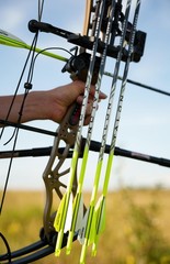 Black Eagle 19/64″ Factory Fletched Arrows, Talon 2.5″ Shield Cut, 6 Pack,…