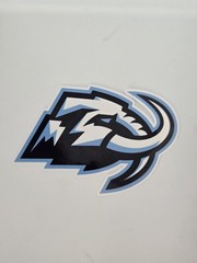NHL Vinyl Hockey Logo Stickers