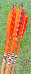 6 MATCHED WOOD ARROWS 31″ BOP