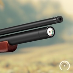 PINTY PCP Pellet Gun Air Rifle, 5.5 mm .22 Caliber Pellet Air Rifle for Adults