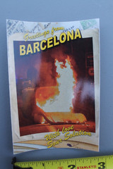 Sour Solution Skateboards Barcelona Spain Fire Punk Z75A Skateboarding STICKER