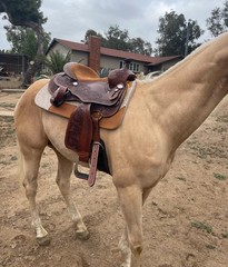 Western Barrel Saddle, Premium Leather Saddle And Complete Tack Set