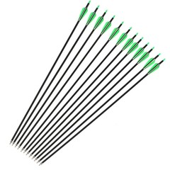 12Pack 30-inch SP500 Archery Carbon Arrows Hunting For Compound & Recurve Bow US