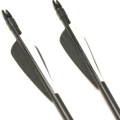 12Pcs 30″ Fiberglass Archery Arrows Spine 500 with Removable Tips Hunting Target