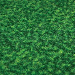 Fanmats 9091 West Virginia University Mountaineers Nylon Putting Green Mat