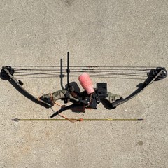 Hoyt Raptor Intruder Compound Bow 60-70lbs 29″ Draw Length