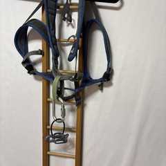 Petzl Adjama Harness, Evolv Shoes Mens 10, Organic Chalk Bag, Climbing Lot