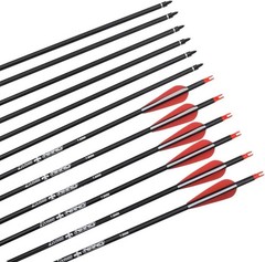 Carbon Arrows for Hunting & Target Practice – 26, 28, 30 Inch Options